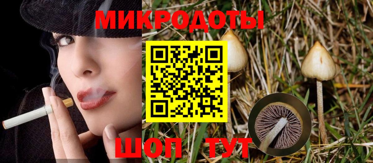 Галлюциногенные грибы MAGIC MUSHROOMS Минусинск